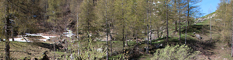 POLITIQUE D’ENVIRONNEMENT Valvital